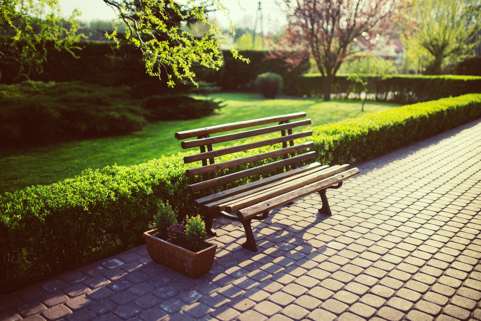 empty bench in the garden